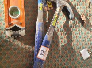 299.jpg