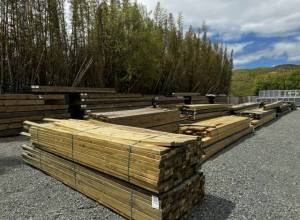 timber2.jpg